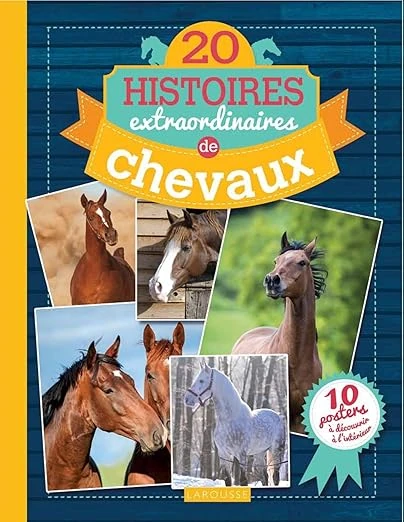 Couverture de livre d’Olivier Lhote